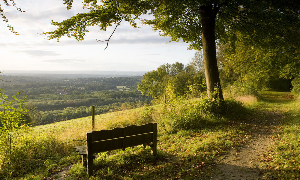 Photo of bench overlooking Kent Downs AONB