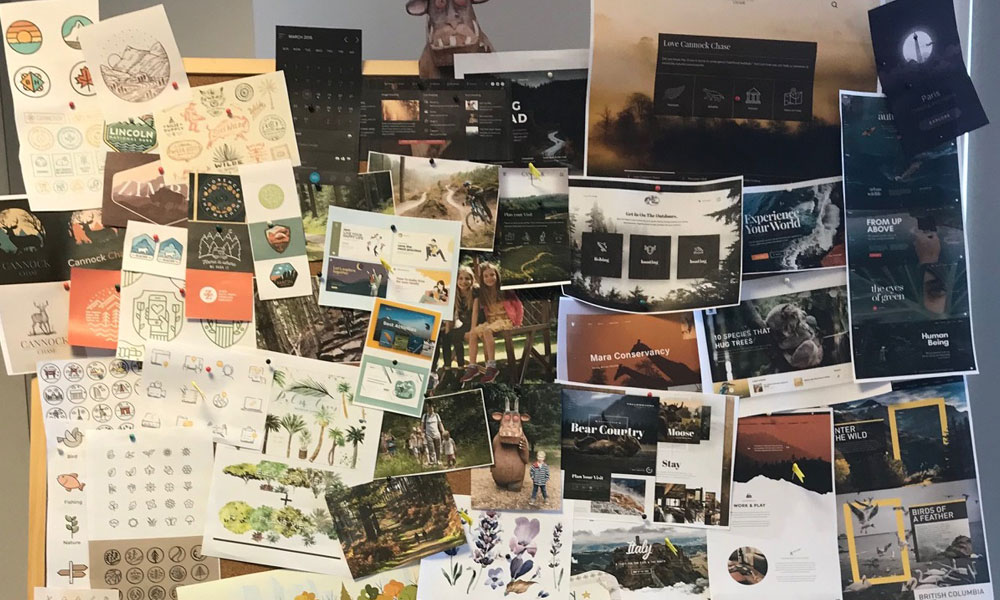 Photo of mood board created for the Cannock Chase project