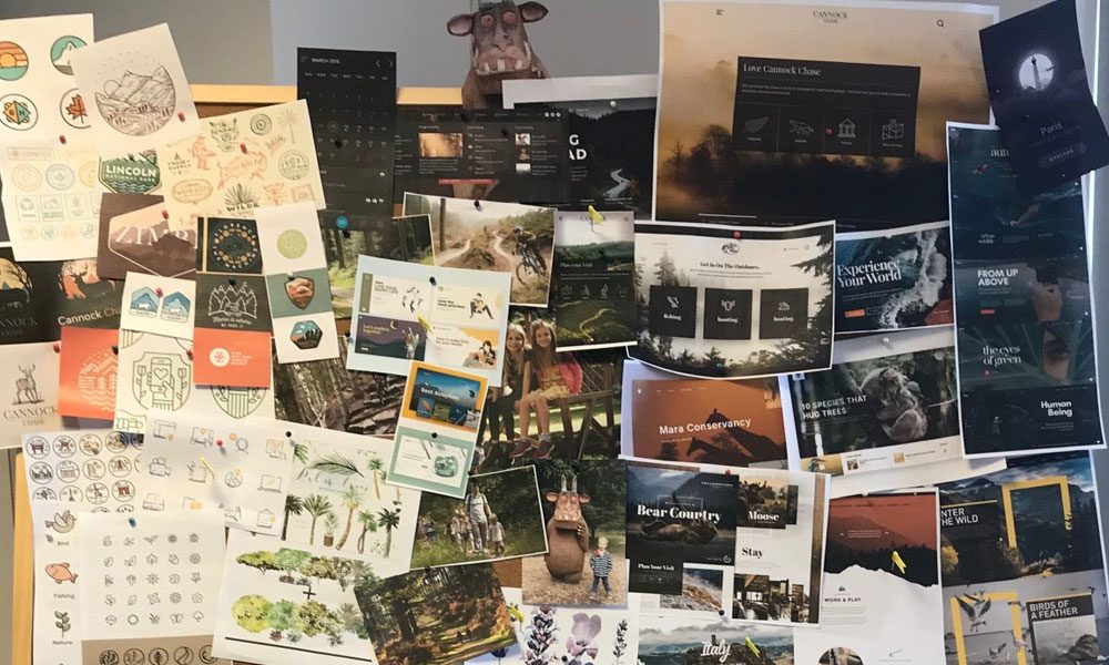 Photo of mood board created for the Cannock Chase project